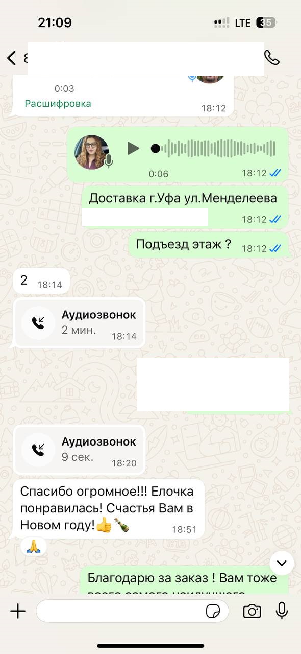 Image title